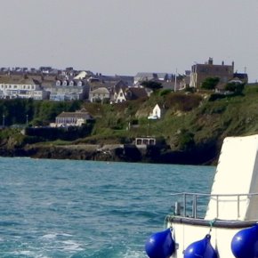 Newquay Sea Safaris - an experience you'll never forget.