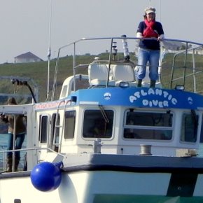 Newquay Sea Safaris - an experience you'll never forget.