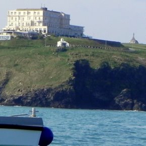 Newquay Sea Safaris - an experience you'll never forget.