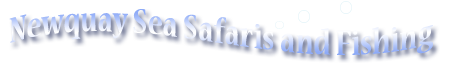 Newquay Sea Safaris and Fishing Eco-friendly marine adventures, sea safaris and fishing trips in Newquay, Cornwall. 
